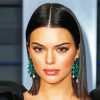 The Beautiful Kendall Jenner paint by numbers