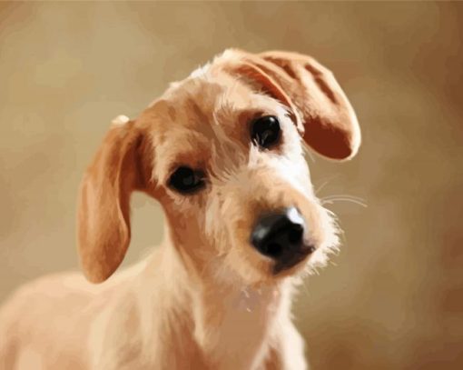 Adorable Beige Doxie Dachshund paint by numbers