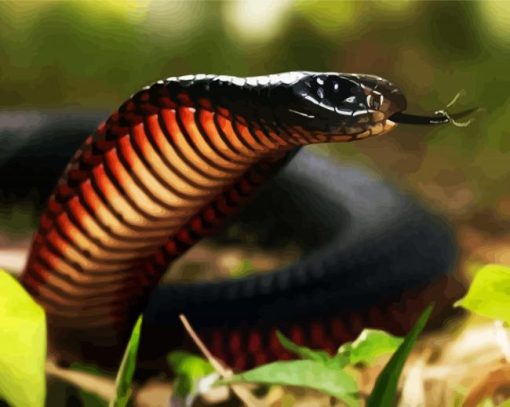 Black Cobra Snake paint by numbers