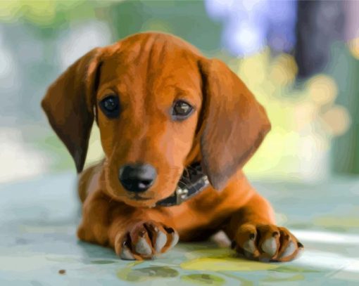 Brown Puppy Doxie Dachshund paint by numbers