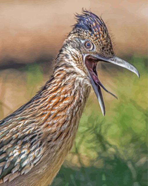 Close Up Roadrunner Bird paint by numbers