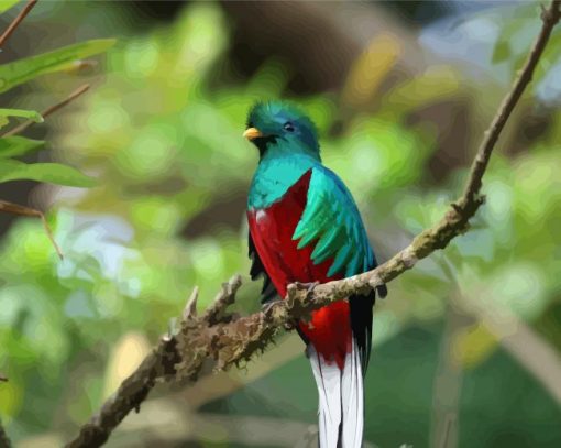Quetzal Bird On A Stick paint by numbers