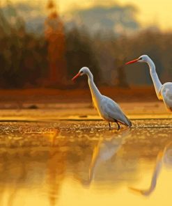 Cute Egrets Birds paint by numbers