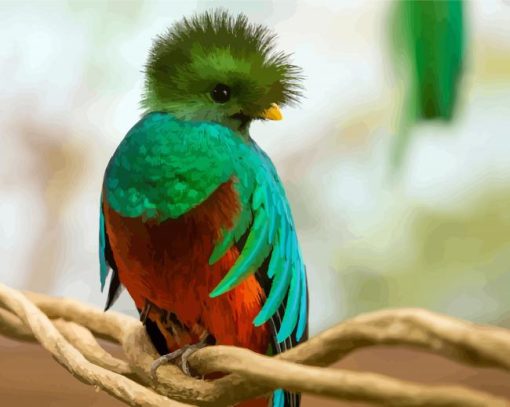 Cute Quetzal Bird paint by numbers