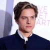 Handsome Dylan Sprouse Actor paint by numbers