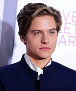 Handsome Dylan Sprouse Actor paint by numbers