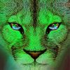 green lion face paint by number