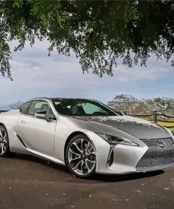 Grey Lexus LC Car paint by numbers