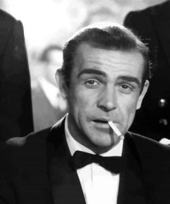 Young Sean Connery In Black And White paint by numbers