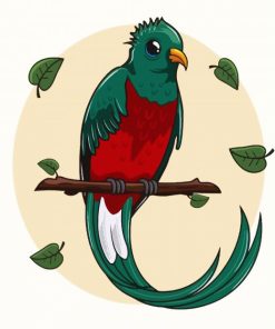Resplendent Quetzal Art paint by numbers