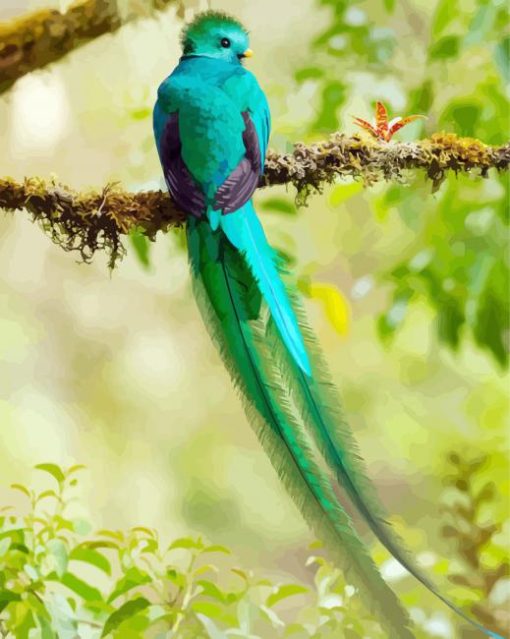 Beautiful Resplendent Quetzal paint by numbers