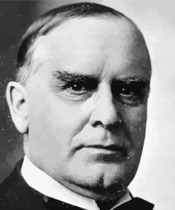 Monochrome Of William McKinley paint by numbers