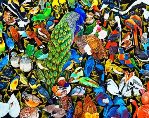 One Hundred Birds Animals paint by numbers