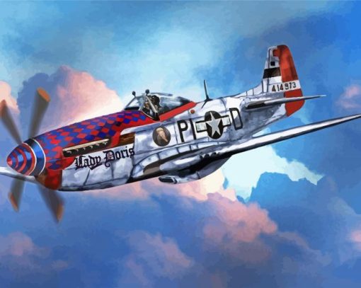 P52 Mustang Airplane paint by numbers