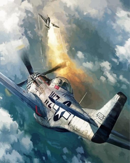 P52 Mustang Plane paint by numbers
