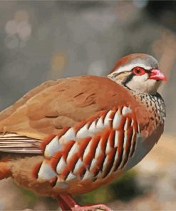Aesthetic Partridge Bird paint by numbers