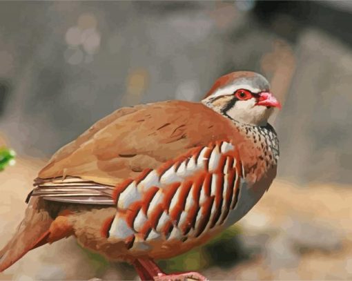 Aesthetic Partridge Bird paint by numbers