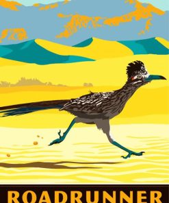 Roadrunner Bird Illustration paint by numbers
