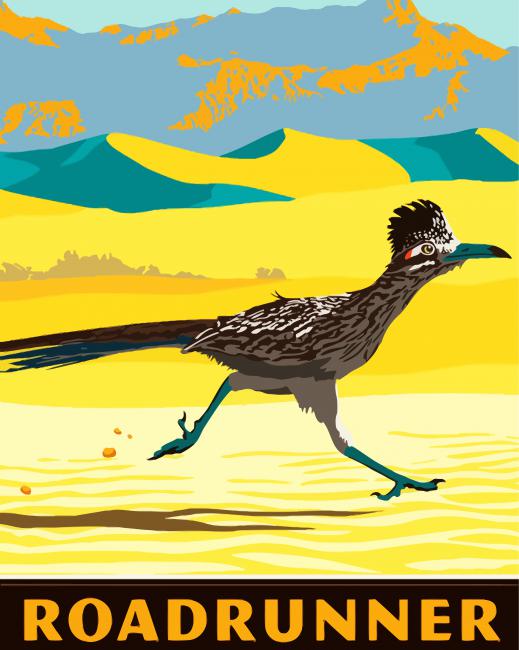 Roadrunner Bird Illustration paint by numbers