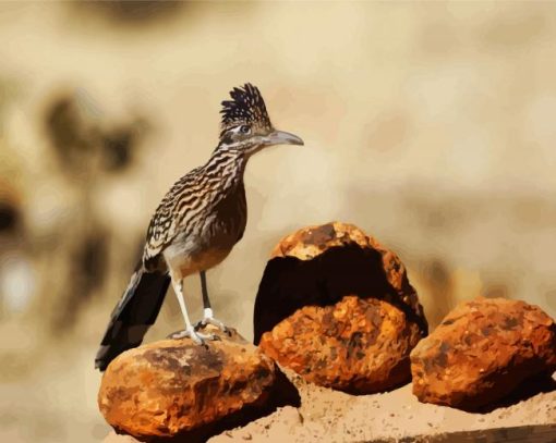 Roadrunner On Stone paint by numbers