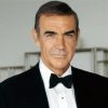 Classy Sean Connery paint by numbers