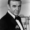 Monochrome Sean Connery paint by numbers