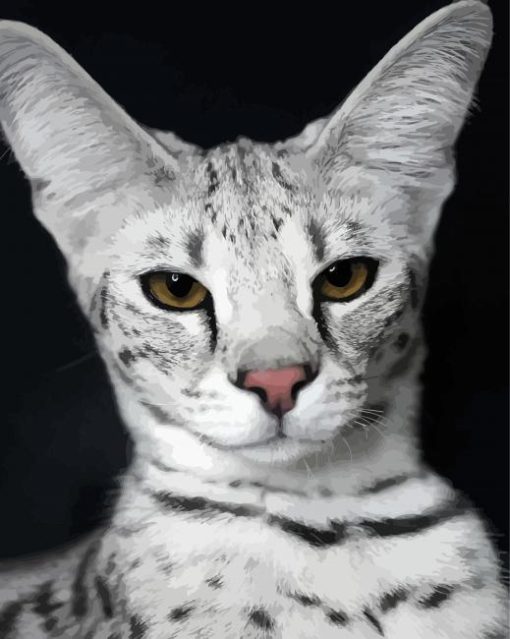 Silver Savannah Cat paint by numbers