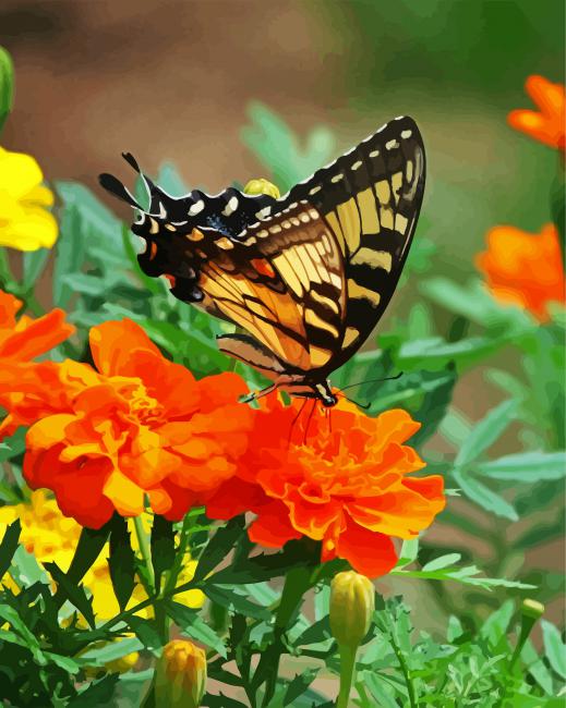 Swallowtail On Marigolds paint by numbers