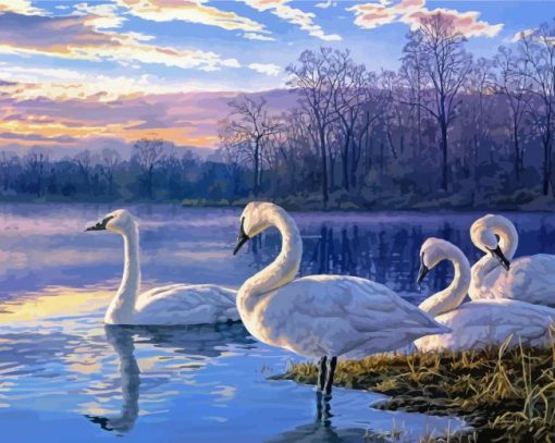 Swans On Lake paint by numbers