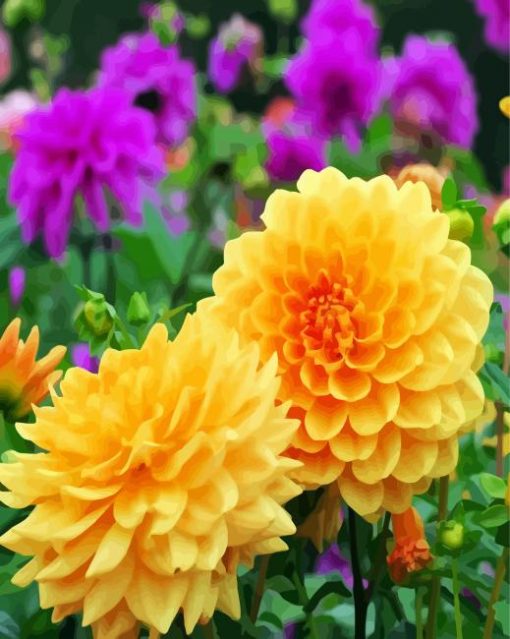 Yellow Dahlia Flowers paint by numbers