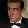 Young Actor Sean Connery paint by numbers