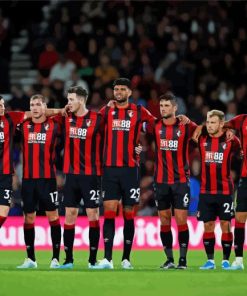 AFC Bournemouth Players paint by numbers