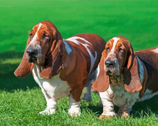 Adorable Basset Hound paint by numbers