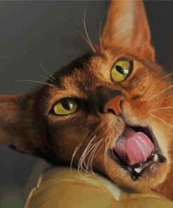 Aesthetic Abyssinian Cat paint by numbers