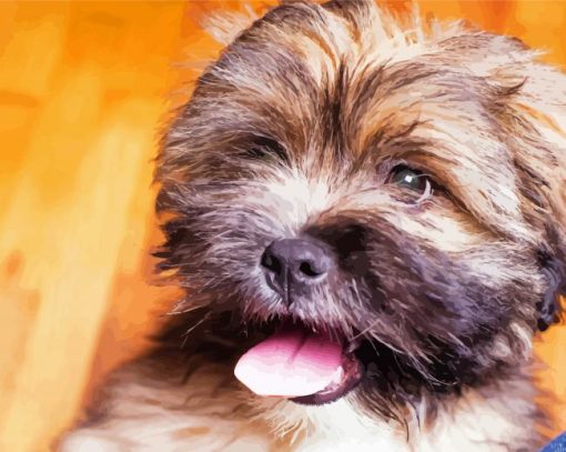Cute Lhassa Apso Dog paint by numbers
