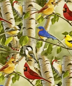 Aesthetics Birds And Birch Trees paint by numbers