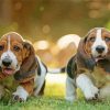 Basset Hound Puppies paint by numbers
