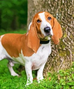 Basset Hound Puppy paint by numbers