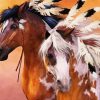 Beautiful Natives Horses paint by numbers