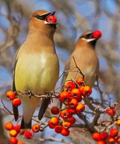 Birds Eating Red Berries paint by numbers