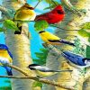 Birds On Birch Trees paint by numbers