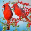 Birds And Red Berries paint by numbers