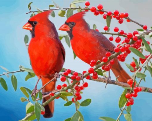 Birds And Red Berries paint by numbers