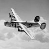 Black And White B 24 Bomber paint by numbers