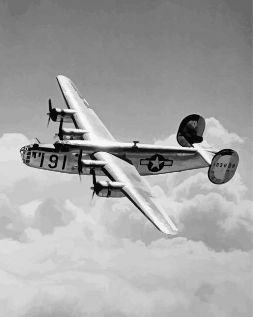 Black And White B 24 Bomber paint by numbers