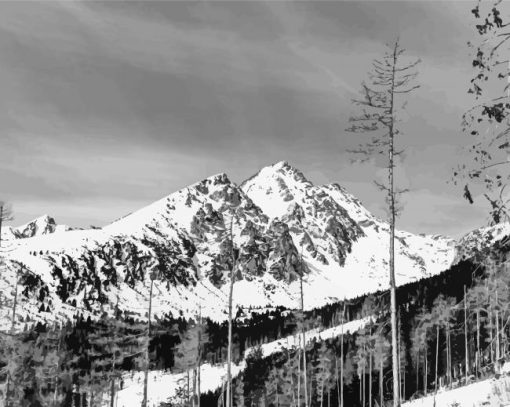 Black And White Mountains And Birch Trees paint by numbers