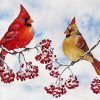 Cardinals Birds And Red Berries paint by numbers