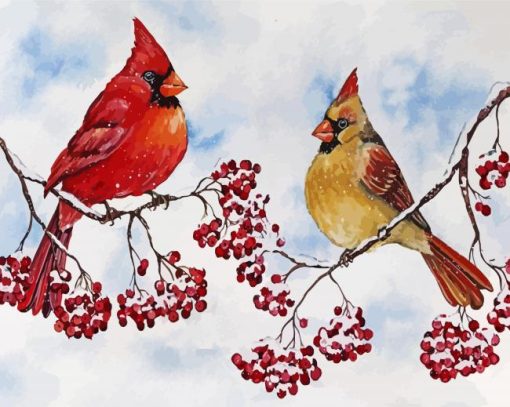 Cardinals Birds And Red Berries paint by numbers