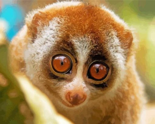 Cute Primate Lepilemur Animal paint by numbers