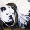 Dog In Tutu Art paint by numbers